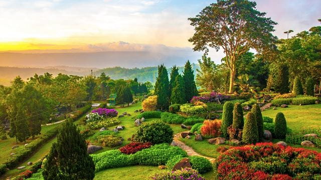 Mountain garden